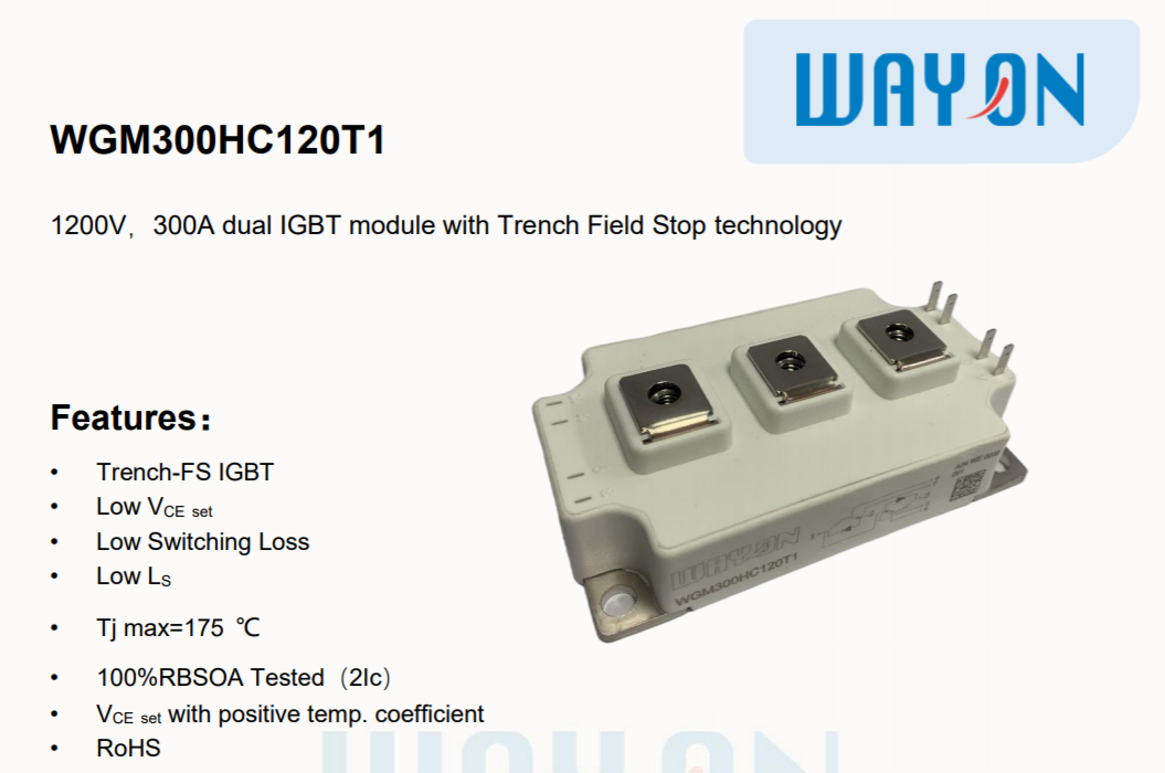 IGBT-WGM300HC120T1